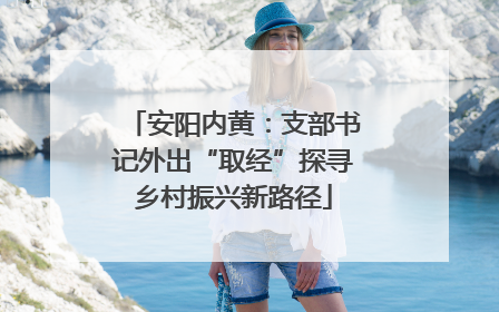 安阳内黄：支部书记外出“取经”探寻乡村振兴新路径
