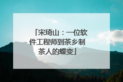 宋琦山：一位软件工程师到茶乡制茶人的蝶变