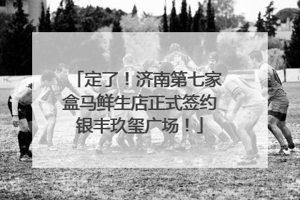 定了！济南第七家盒马鲜生店正式签约银丰玖玺广场！