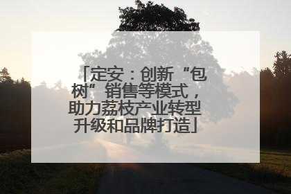 定安：创新“包树”销售等模式，助力荔枝产业转型升级和品牌打造