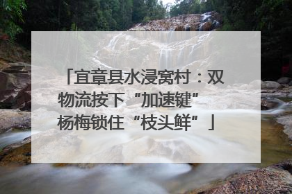 宜章县水浸窝村：双物流按下“加速键” 杨梅锁住“枝头鲜”