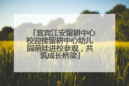 宜宾江安留耕中心校迎接留耕中心幼儿园萌娃进校参观，共筑成长桥梁
