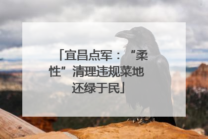 宜昌点军：“柔性”清理违规菜地 还绿于民