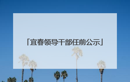 宜春领导干部任前公示