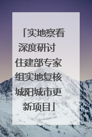 实地察看深度研讨 住建部专家组实地复核城阳城市更新项目