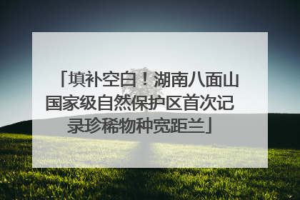 填补空白！湖南八面山国家级自然保护区首次记录珍稀物种宽距兰