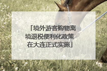 境外游客购物离境退税便利化政策在大连正式实施