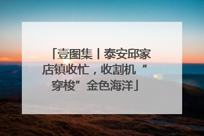 壹图集丨泰安邱家店镇收忙，收割机“穿梭”金色海洋