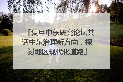 复旦中东研究论坛共话中东治理新方向，探讨地区现代化道路