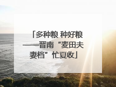 多种粮 种好粮——晋南“麦田夫妻档”忙夏收