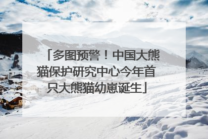 多图预警！中国大熊猫保护研究中心今年首只大熊猫幼崽诞生