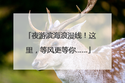 夜游滨海浪漫线！这里，等风更等你……