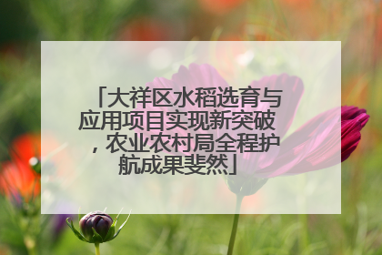 大祥区水稻选育与应用项目实现新突破，农业农村局全程护航成果斐然