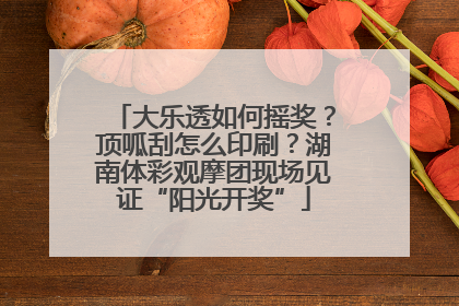 大乐透如何摇奖？顶呱刮怎么印刷？湖南体彩观摩团现场见证“阳光开奖”