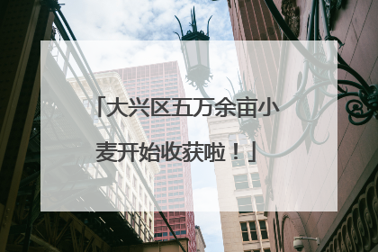 大兴区五万余亩小麦开始收获啦！