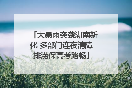 大暴雨突袭湖南新化 多部门连夜清障排涝保高考路畅