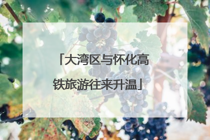 大湾区与怀化高铁旅游往来升温