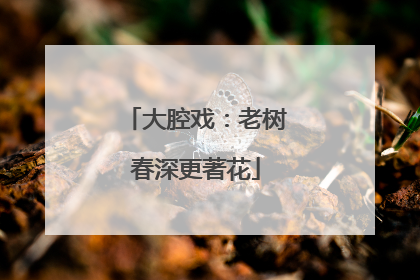大腔戏：老树春深更著花