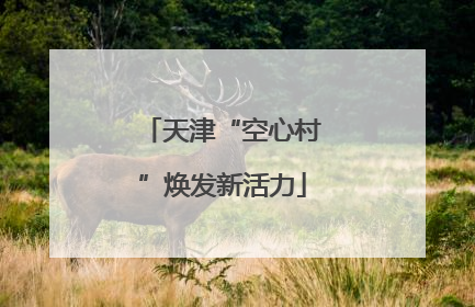 天津“空心村”焕发新活力