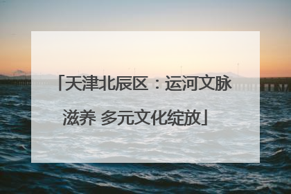 天津北辰区：运河文脉滋养 多元文化绽放