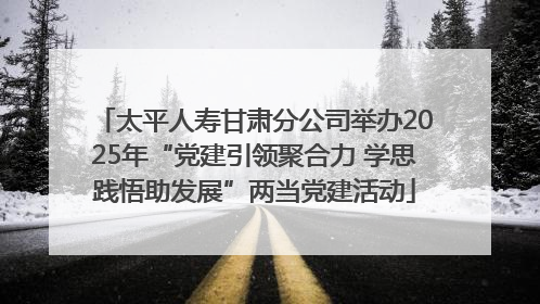 太平人寿甘肃分公司举办2025年“党建引领聚合力 学思践悟助发展”两当党建活动