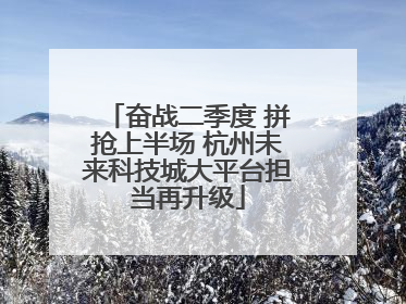 奋战二季度 拼抢上半场 杭州未来科技城大平台担当再升级
