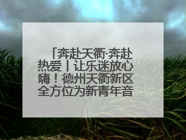 奔赴天衢·奔赴热爱丨让乐迷放心嗨！德州天衢新区全方位为新青年音乐节保驾护航