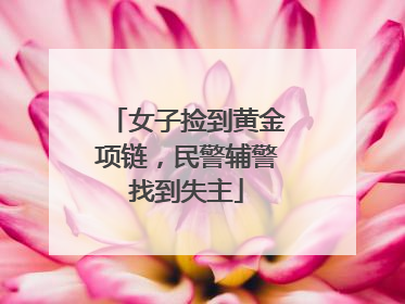 女子捡到黄金项链，民警辅警找到失主