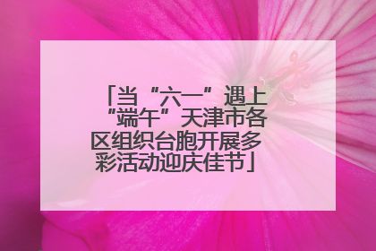 当“六一”遇上“端午”天津市各区组织台胞开展多彩活动迎庆佳节