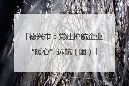 德兴市：党建护航企业“暖心”远航（图）