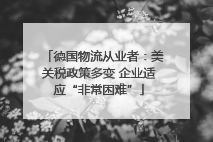 德国物流从业者：美关税政策多变 企业适应“非常困难”