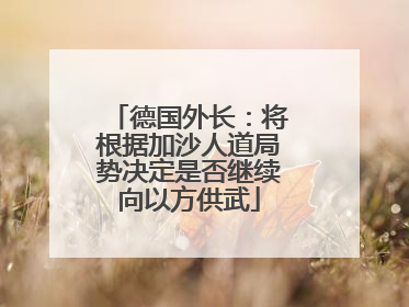 德国外长：将根据加沙人道局势决定是否继续向以方供武