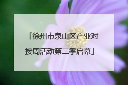 徐州市泉山区产业对接周活动第二季启幕