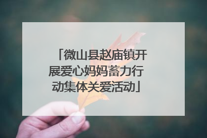 微山县赵庙镇开展爱心妈妈蓄力行动集体关爱活动