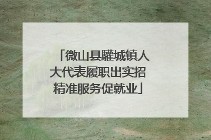微山县驩城镇人大代表履职出实招精准服务促就业