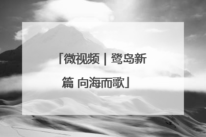 微视频｜鹭岛新篇 向海而歌