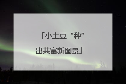 小土豆“种”出共富新图景