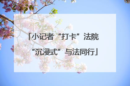小记者“打卡”法院 “沉浸式”与法同行