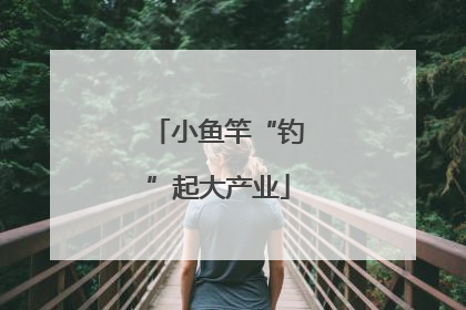 小鱼竿“钓”起大产业