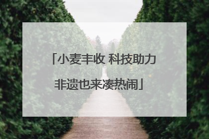 小麦丰收 科技助力 非遗也来凑热闹
