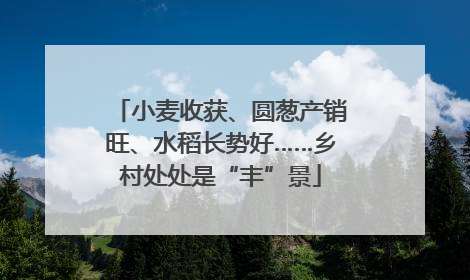小麦收获、圆葱产销旺、水稻长势好……乡村处处是“丰”景