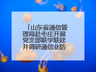山东省通信管理局赴枣庄开展党支部联学联建并调研通信业防汛准备工作