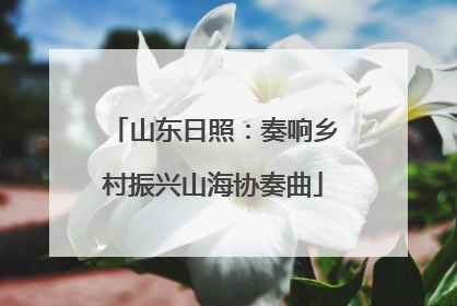 山东日照：奏响乡村振兴山海协奏曲