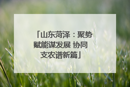 山东菏泽：聚势赋能谋发展 协同支农谱新篇