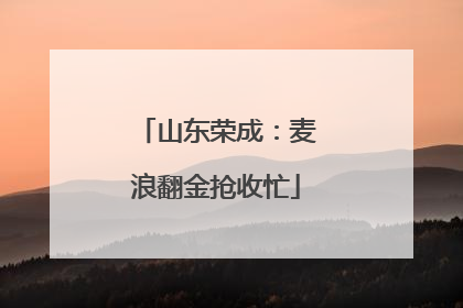山东荣成：麦浪翻金抢收忙
