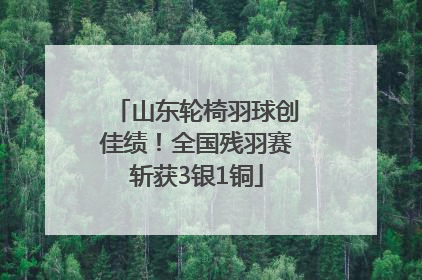 山东轮椅羽球创佳绩！全国残羽赛斩获3银1铜
