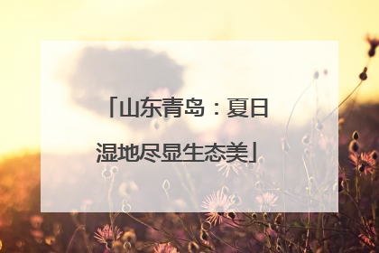 山东青岛：夏日湿地尽显生态美