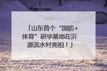 山东首个“国防+体育”研学基地在沂源流水村亮相！