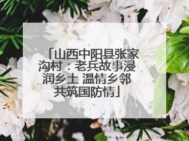 山西中阳县张家沟村：老兵故事浸润乡土 温情乡邻共筑国防情