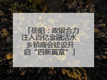 岳阳：政银合力注入百亿金融活水 乡镇商会建设开启“四新篇章”